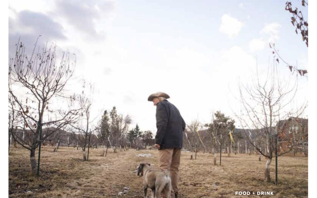 The Fruits of Labor FARMER FRED IS COMMITTED TO KEEPING HIS ORCHARD ORGANIC