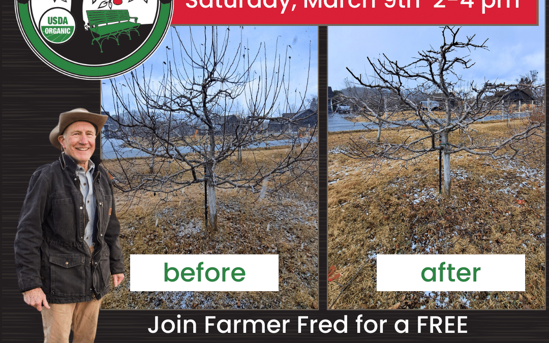 FREE Apple Tree Pruning Demonstration in Missoula – March 9th 2-4 PM